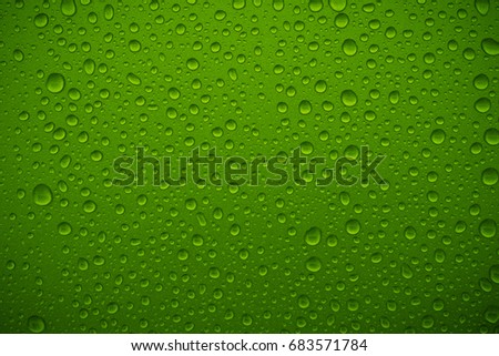Water drops on green Texture and Background.
