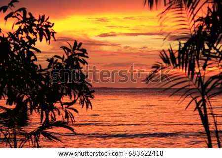 Tropical sunset sky sunlight. Tropical Sunset. Palm Tree At Sunset Sky.