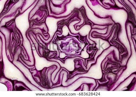 Red cabbage portion on white 