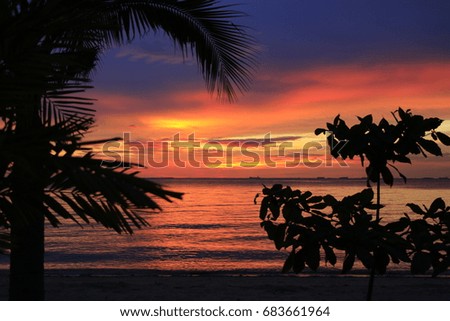 The tropical view on a gorgeous sunset that lays on the ocean and covers nearest palm tree in a shadow. 