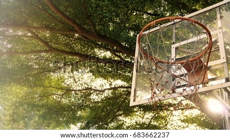 Very bright, low angle shot of beautiful view of outdoor basketball hoop at home in warm and glittering sunlight 
