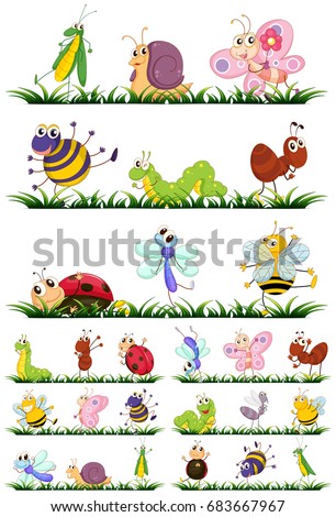Different types of insects on grass illustration