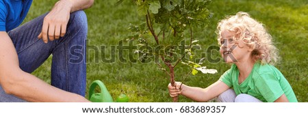 Man and smiling boy holding little tree seedling in the park