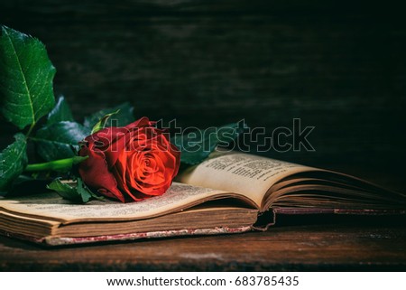 Vintage book and rose on a wooden desk - copy space
