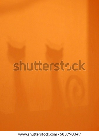 color detail photography of cartoon cats shadows on wall