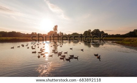 Aerial view over a lake with birds