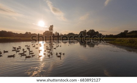Aerial view over a lake with birds