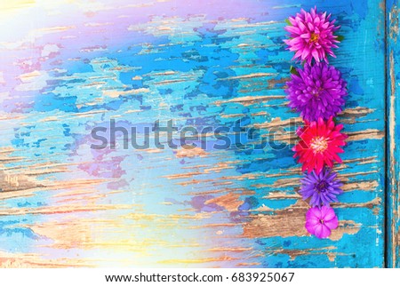 Bright Flowers of top view on blue wooden background with copy space