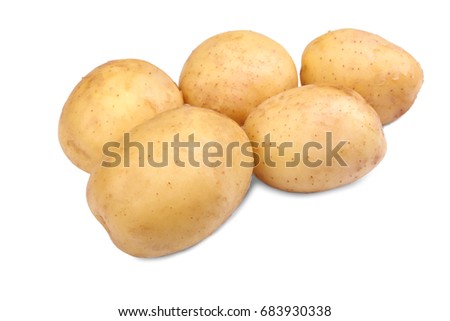 Five organic, fresh and raw young potatoes, isolated on a white background. Human health staple food, potatoes. Healthful summer harvest.