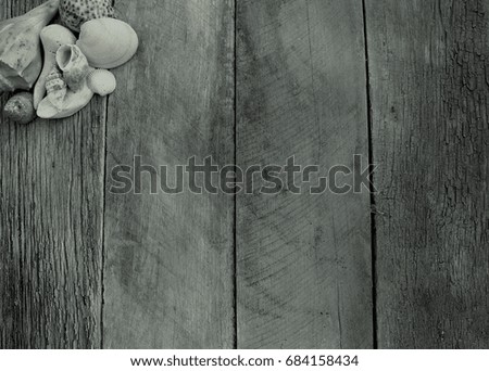 black and white rustic beach shells on wood