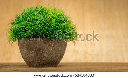 green grass in a pot over wooden background