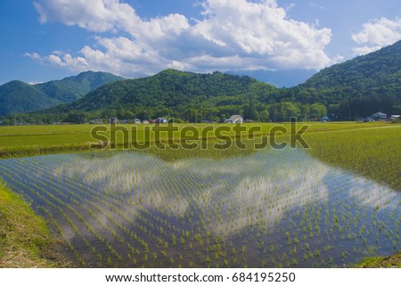 Rice field and mountains, Shinano Omachi, Nagano, Japan