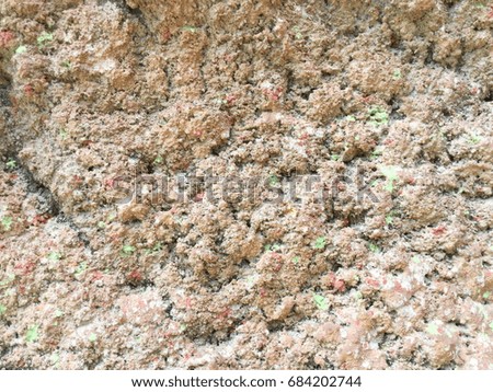 Decorative cement wall background