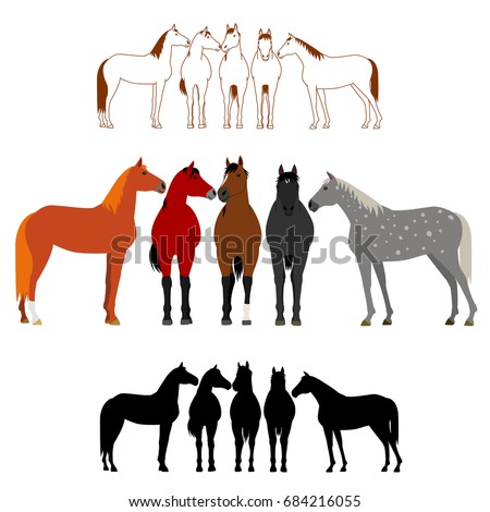 set of horse group
