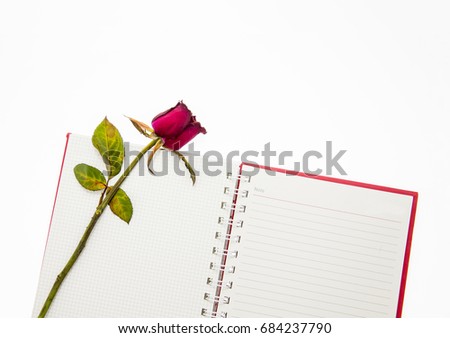 Open empty book with dried roses isolated on white background