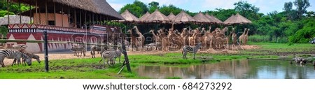 Herd of giraffes and zebra herds in the zoo.