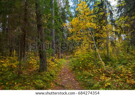 Path through the autumn park. Fall time.