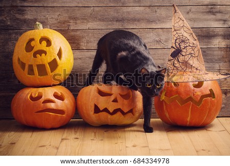 black cat with orange halloween pumpkin on wooden background