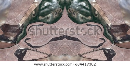 Homage to Picasso, cubist toad, Abstract Symmetrical Photographs of Spain fields from the air ,artistic representation of human labor camps bird's eye view,  abstract  surreal, expressionist