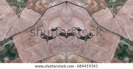 The gluttonous King,Abstract Symmetrical Photographs of Spain fields from the air ,artistic representation of human labor camps bird's eye view,  abstract  surreal, expressionist