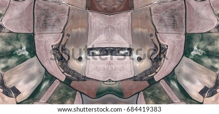 Two elephants who do not address the word,Abstract Symmetrical Photographs of Spain fields from the air ,artistic representation of human labor camps bird's eye view,  abstract  surreal, expressionist