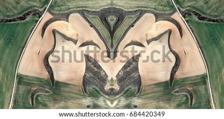 White crows,Abstract Symmetrical Photographs of Spain fields from the air ,artistic representation of human labor camps bird's eye view,  abstract  surreal, expressionist
