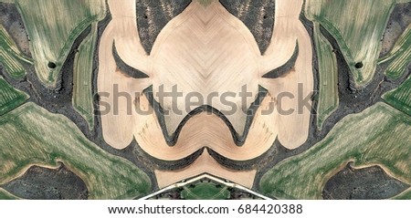 Tribute to Picasso, cubist elephant,Abstract Symmetrical Photographs of Spain fields from the air ,artistic representation of human labor camps bird's eye view,  abstract  surreal, expressionist 