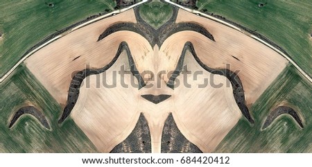 Duck with raised neck,Abstract Symmetrical Photographs of Spain fields from the air ,artistic representation of human labor camps bird's eye view,  abstract  surreal, expressionist