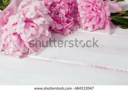 Pink Peonies on the white wooden table