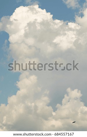 Beautiful white clouds on a blue sky