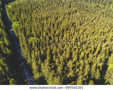 Aerial photography with forest and road in mountains - Czech republic