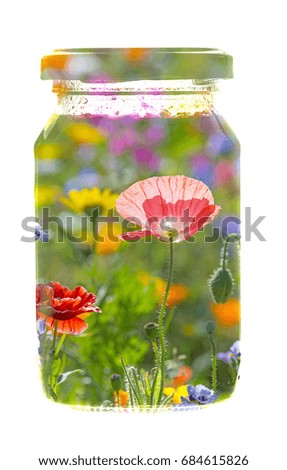 Jar glass with summer picture isolated on white background - art concept