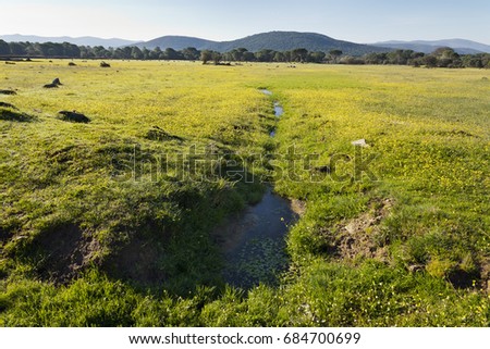 Meadows in La Adrada. Avila. Spain