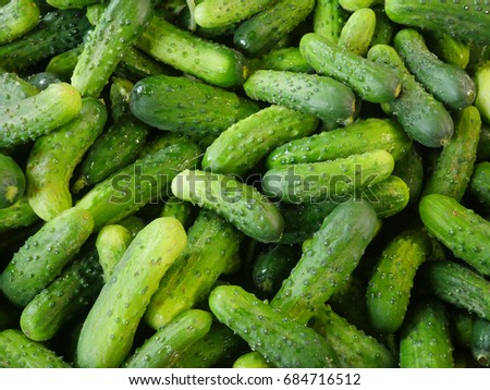 pile of cucumbers at the produce stand