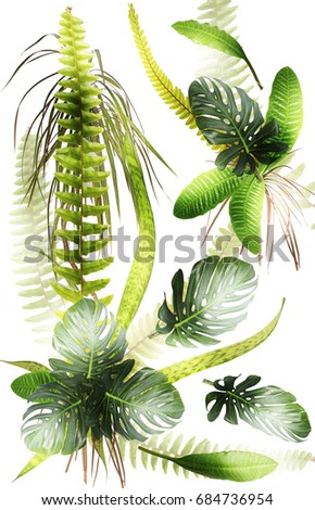 High resolution texture, background with tropical plant and leaf