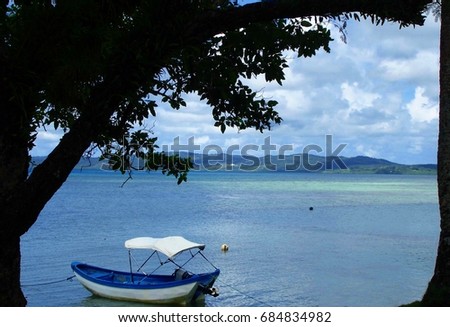Blue and white boat moored along the shoreline of a tropical beach, framed by the silhouette of a big leafy tree