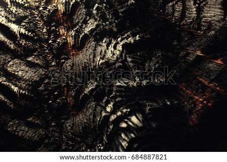 Burnt wood texture closeup