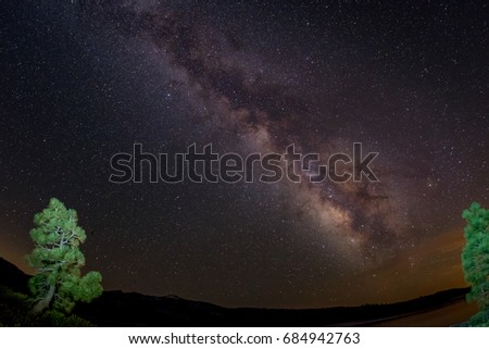 Two Pine Milky Way