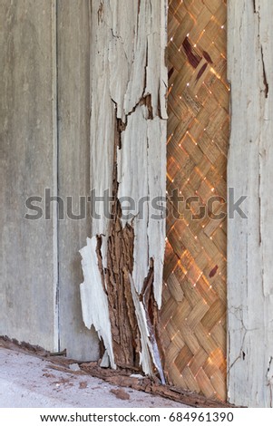 Close-up old wooden wall disintegrated because termites interior, which has bamboo woven into the background.