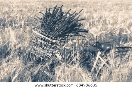 Old vintage photo. Bicycle with a bouquet of wildflowers in a basket in front of handlebar on a background of green grass in wheat field