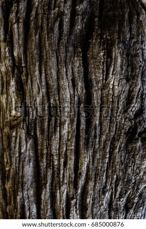 Old wooden texture background