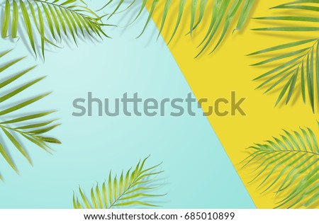 Tropical palm leaves frame on yellow and light blue background. Minimal nature. Summer Styled.  Flat lay.  Image is approximately 5500 x 3600 pixels in size.