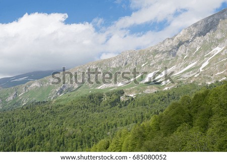 Natural landscape. The mountains and forest under a cloudy sky.