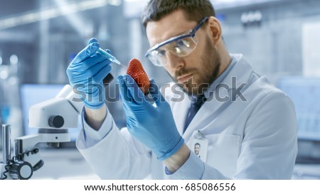 In a Modern Laboratory Food Scientist Injects Strawberry with a Syringe. He's Working on a Genetic Modifications of this Product. Royalty-Free Stock Photo #685086556