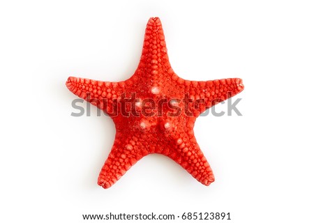 Dried red sea starfish isolated on white background. Top view  Royalty-Free Stock Photo #685123891