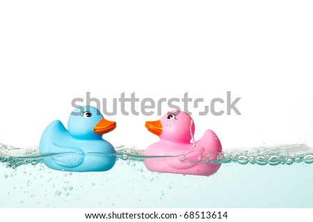Blue and pink rubber duck in the water