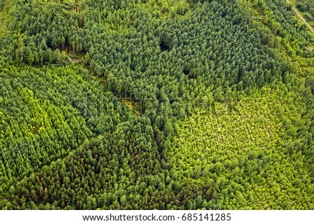 Aerial view of coniferous forest in the Burren Region in County Clare on the west coast of Ireland