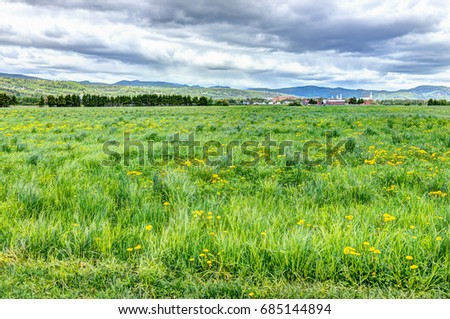 Baie-Saint-Paul in Quebec, Canada cityscape or skyline with green grass field in summer with yellow dandelion flowers