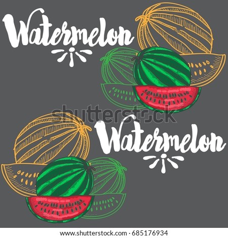 watermelon graphic illustration with text, colorful pattern, vector,summer 