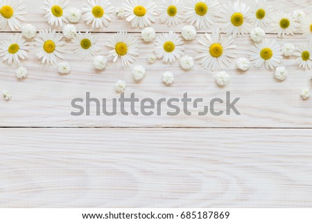 Daisies on a light wooden background. Place for text.